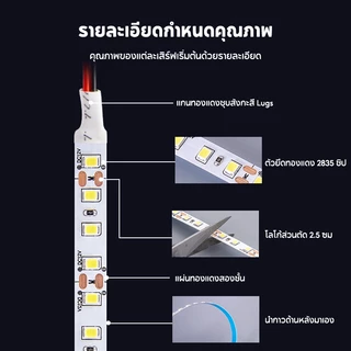 แถบแสง LED 2835 ขนาด 5M/10M IP20 สีขาว 3 ระดับ 3000K-6500K ไฟ 12V/24V กำลังไฟ 10W/M 120 ดวง ตัดได้ทุ