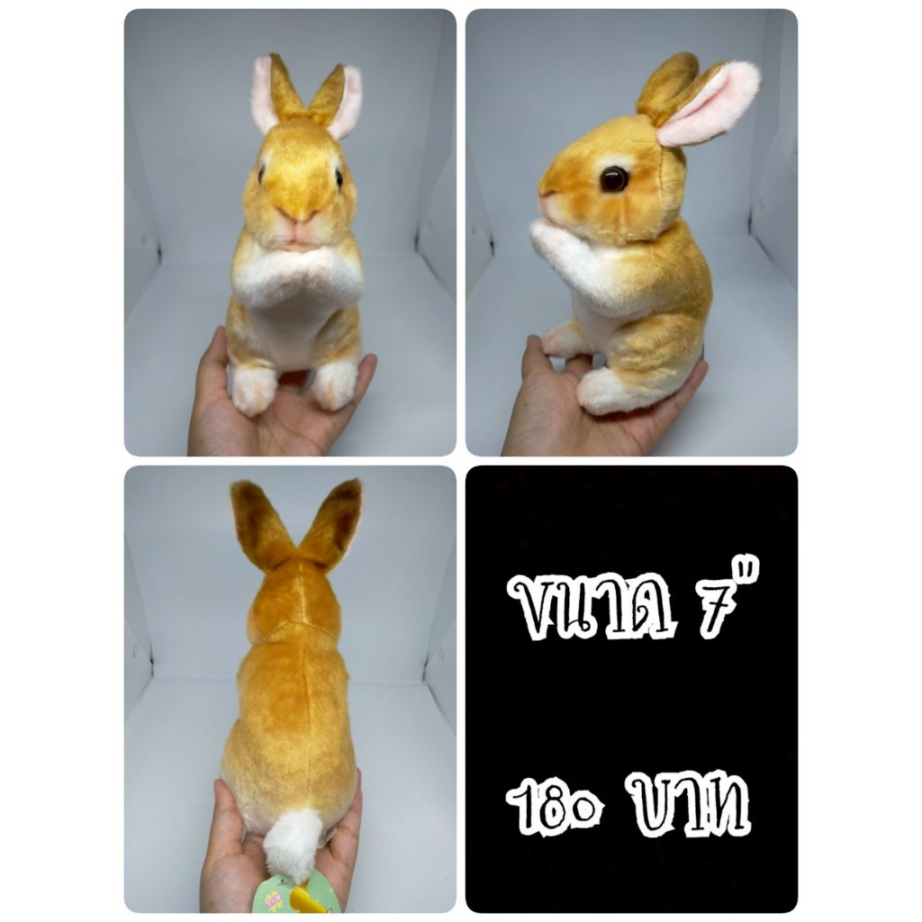 Rabbit#Real Rabbit#Realistic Rabbit#กระต่าย#ป้ายห้อย#ตุ๊กตาญี่ปุ่นมือสอง