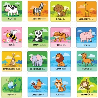 หนังสือ boardbook (บอร์ดบุ๊ค) สมุดภาพคำศัพท์ปกแข็ง [หมวดสัตว์] ขนาดใหญ่ 15×15 ซม. #หนังสือสำหรับเด็ก