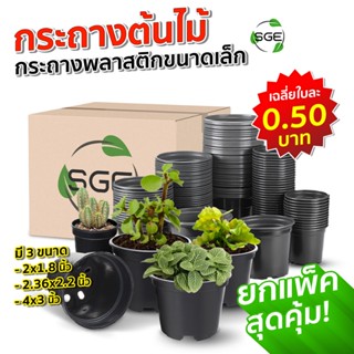 SGE กระถาง ถูกที่สุด กระถางต้นไม้ ทนทาน ไม่แตกหักง่าย กระถาง…