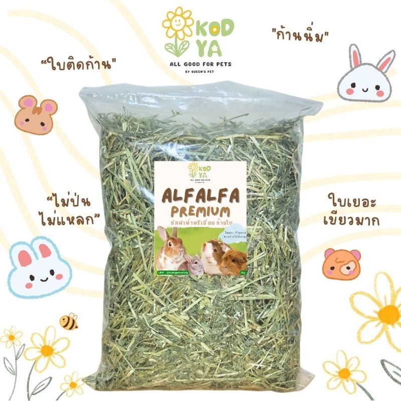 🌿 KODYA กอดหญ้า | หญ้าอัลฟาฟ่าพรีเมียม ใบเยอะใบเขียวสด หอม คัดเฉพาะก้านอ่อนติดใบ 1กก.