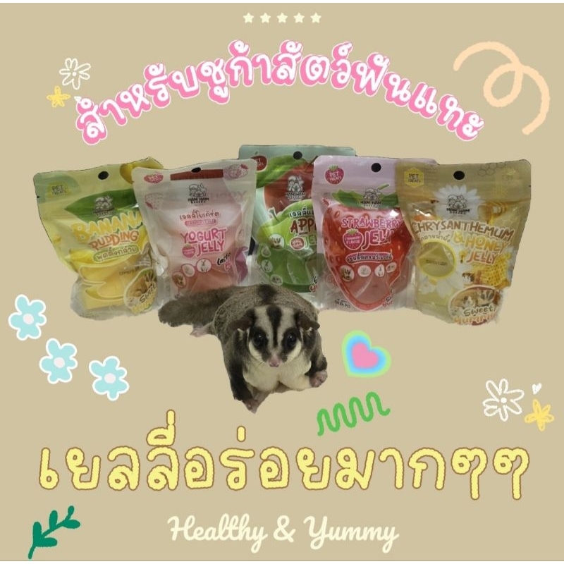 เจลลี่สำหรับชู​ก้า​กระรอก​แฮมเตอร์​แกสบี้​แพรี่ด็อก​กระต่าย​