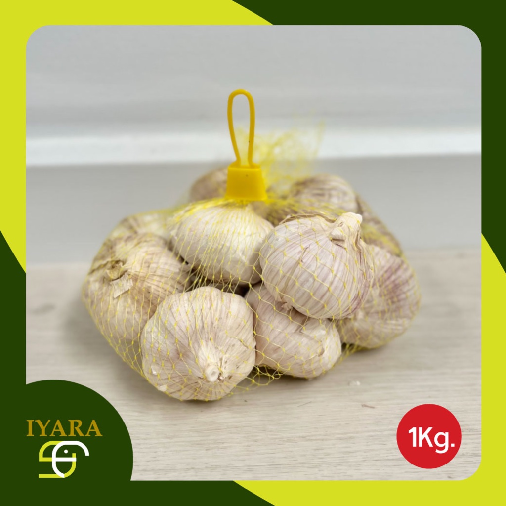 🧄 [ส่งฟรี!] กระเทียมจีนหัวสวย กระเทียมปิงปอง ขนาด3.5cm ขาวแน่น สดใหม่ทุกหัว 🧄