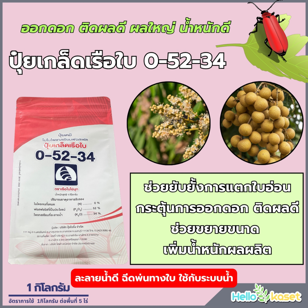ปุ๋ยเกล็ดเรือใบ 0-52-34 ขนาด 1 กิโลกรัม กระตุ้นออกดอก ช่วยติดผล ช่วยขยายขนาด