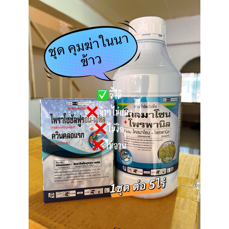 ชุดคุมค่า (เกลี้ยงนา)ใบแคบ ใบกว้างแห้วหมู หนวดปลาดุก ผักปอด เทียนนา ข้าวนก กก ดอกขาว 5ไร่