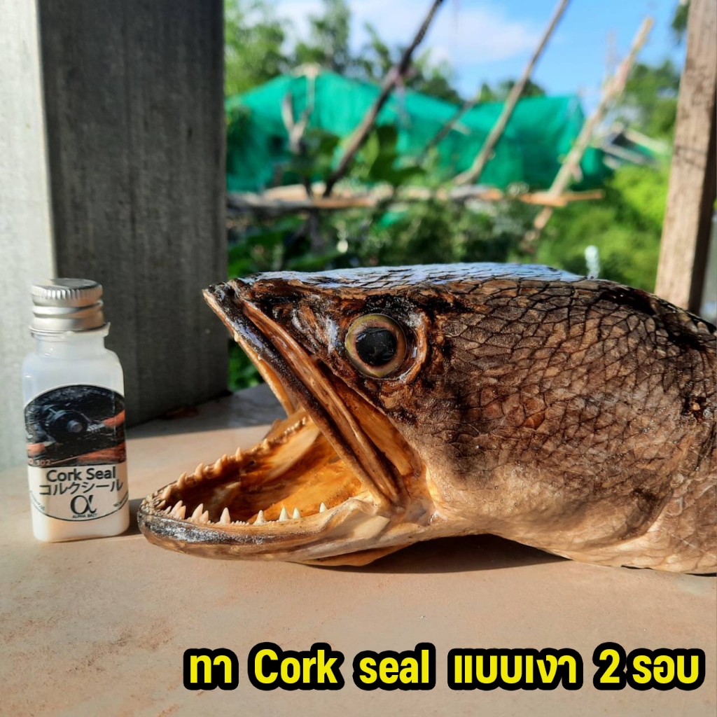 cork seal น้ำยาเคลือบคันไม้ น้ำยาเคลือบไม้ก๊อก น้ำยาเคลือบคันเบ็ด น้ำยาเคลือบคันul แบบด้าน แบบเงา  น้ำยารักษาเนื้อไม้ ราคา ถูกที่สุด ดีลบีเคเค แกลเลอรีภาพที่ 6