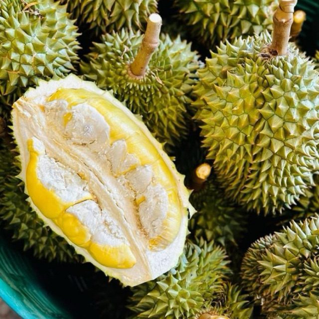 ทุเรียนชะนีไข่ ทุเรียนจันทบุรี เนื้อละเอียด หวานมันอร่อย มีส่งด่วนพร้อมทาน