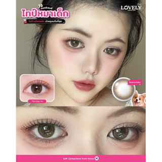 Mini Easy Air  Lovelylens gray brown คอนแทคเลนส์มินิ สีเทาสี…