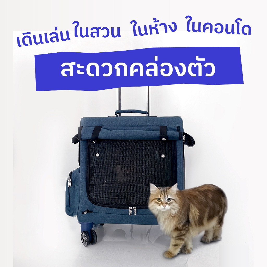 jaywa กระเป๋าแมวล้อลากสะพายเป้ ใส่แมวตัวใหญ่ หมาเล็ก แมวเมนคูน ขึ้นบันไดเลื่อน เข้าลิฟท์ อยู่คอนโด รูปที่ 2