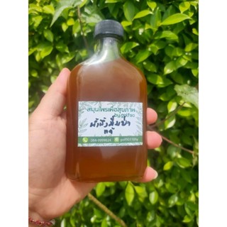 น้ำผึ้งมิ้มป่าเดือนห้าแท้จากดอยชาวม้งภาคเหนือ