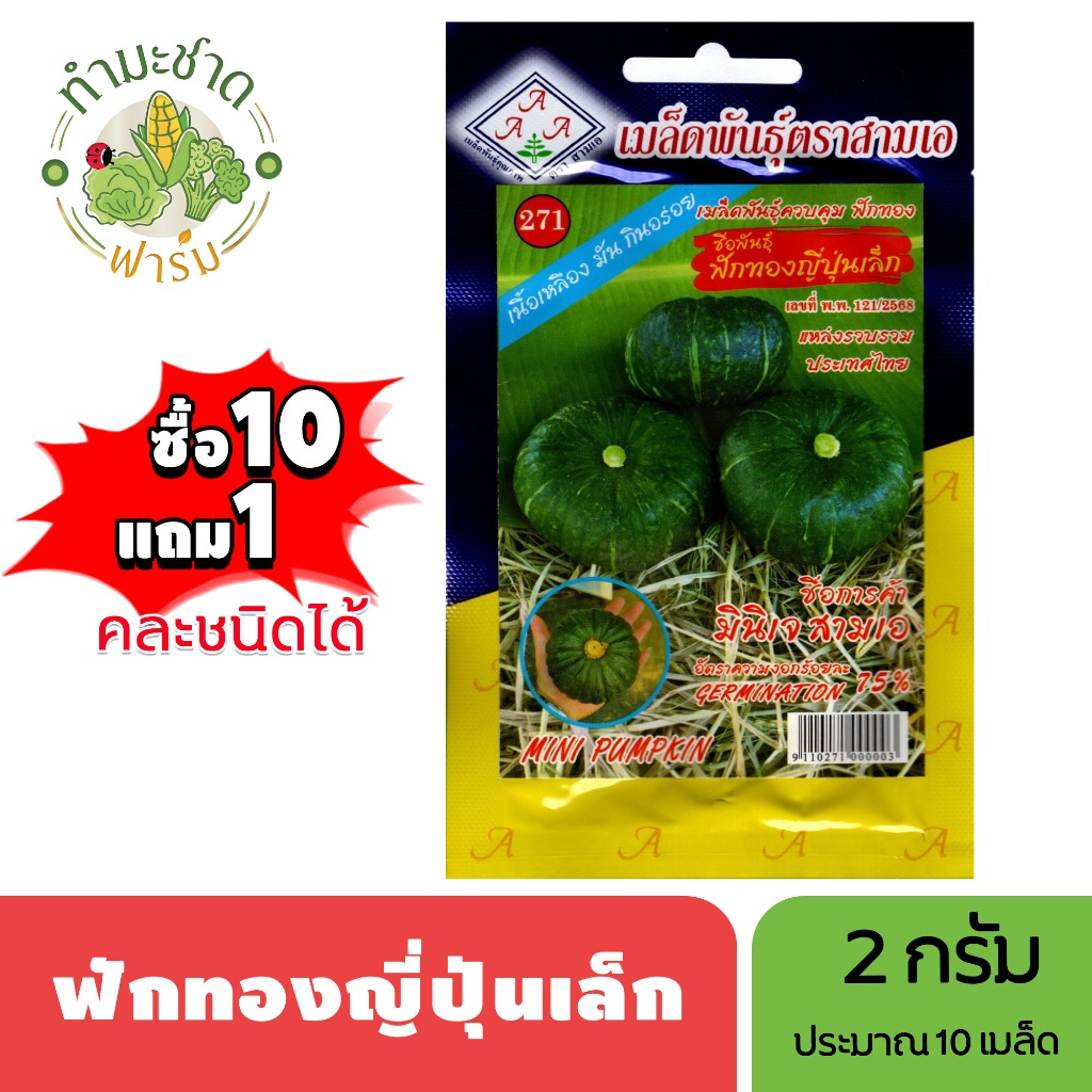 3A (ซื้อ10แถม1) เมล็ดพันธุ์ ฟักทองญี่ปุ่นเล็ก ขนาด2กรัม ประมาณ10เมล็ด MINI JAPANESE PUMPKIN ฟักทอง กะโบะชะ ฟักทองอ่อน