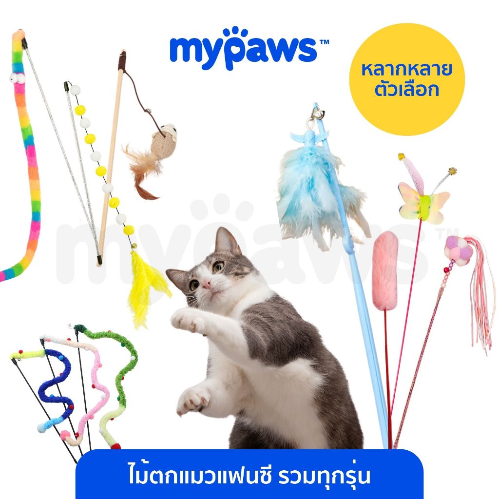 My Paws ไม้ตกแมว ขนนกสีรุ้ง ของเล่นแมว