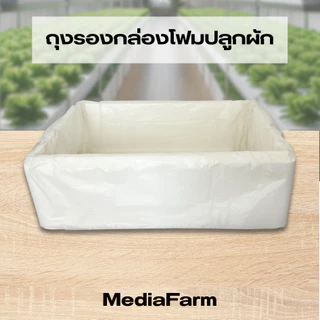 ถุงรองกล่องโฟม ถุงดำรองกล่องโฟม ถุงรองกล่องโฟมปลูกผัก