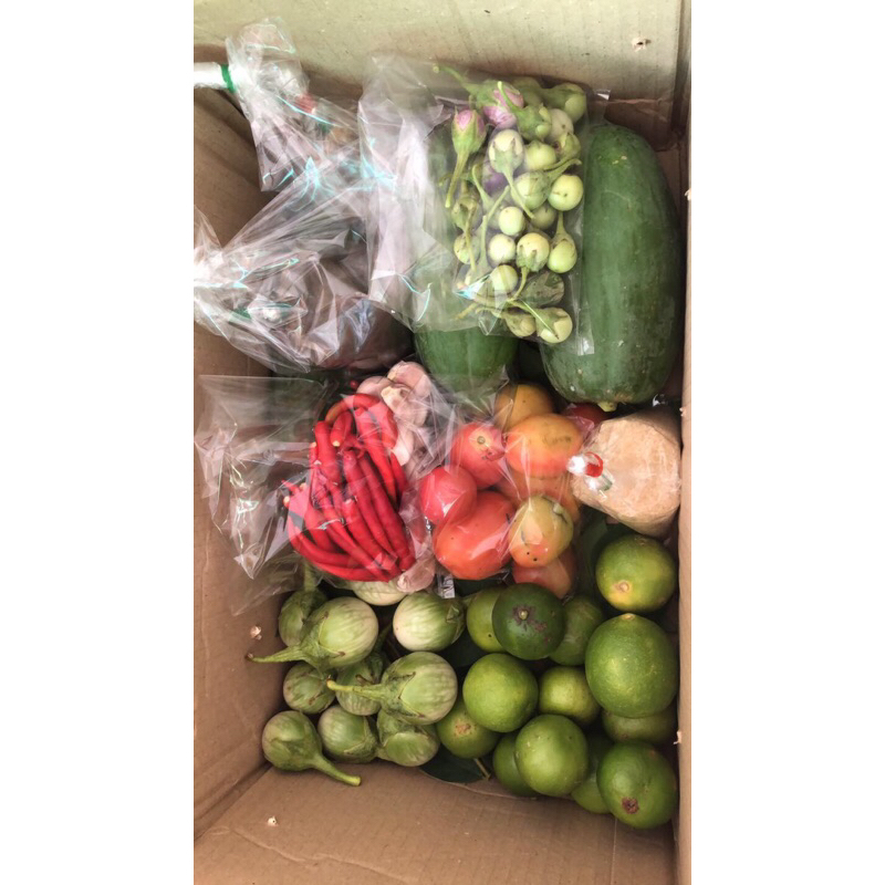 ชุดส้มตำ ส้มตำพร้อมตำ ส้มตำพร้อมเครื่อง