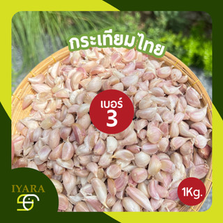 กระเทียมไทย กระเทียมไทยแกะกลีบเล็ก เบอร์3 สวยมาก ของใหม่