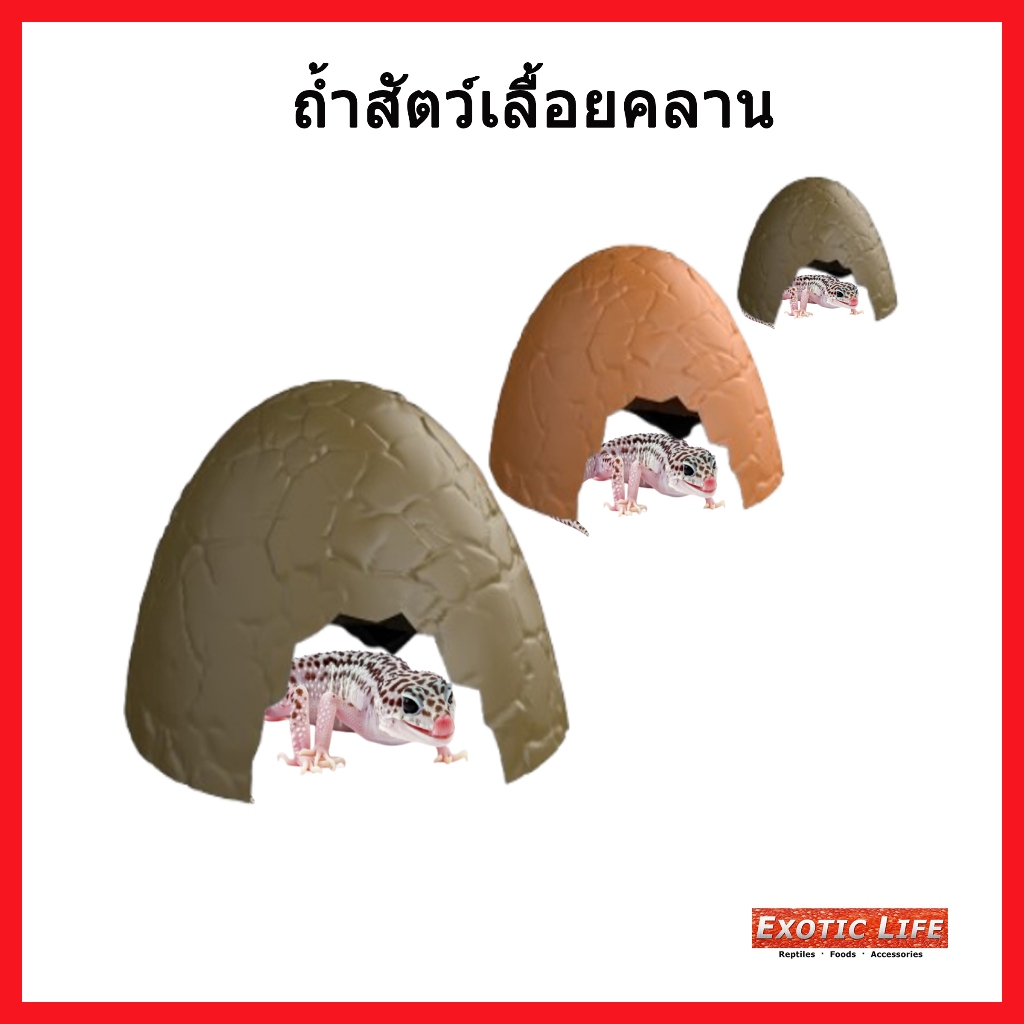 Nomoy Pet ถ้ำพลาสติกผลิตจากวัสดุเกรดอย่างดีปลอดภัยสำหรับให้สัตว์เลี้ยงอยู่อาศัยและซ่อนตัวมี4สี4ขนาด