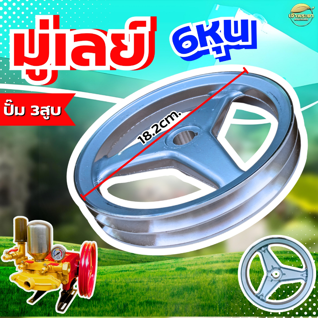 Thumbnail 6