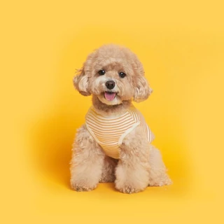 Best seller FLOT เสื้อผ้าสัตว์เลี้ยงจากเกาหลี ผ้าพรีเมียม แขนกุดใส่สบาย รุ่น DAILY PUPPY SLEEVELESS T-SHIRT
