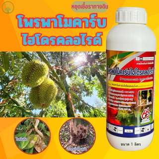 สารโพรพาโมคาร์บ ไฮโดรคลอไรด์72.2%ป้องกันกำจัดเชื้อรา โดยเฉพาะเชื้อไฟทอปธอร่า โรครากเน่า โคนเน่า