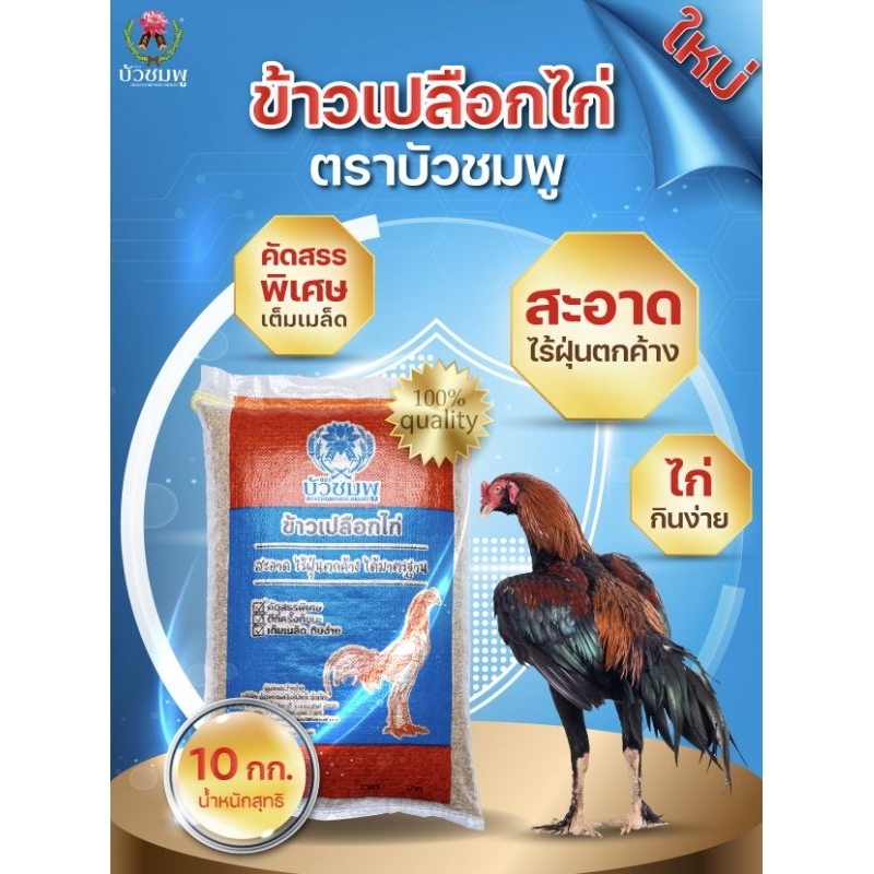 (ส่งฟรี)ตราบัวชมพูข้าวเปลือกไก่ เม็ดยาว ขนาด 5 และ 10 กิโลกรัม (ยกถุง) *ไม่คัดพิเศษ*