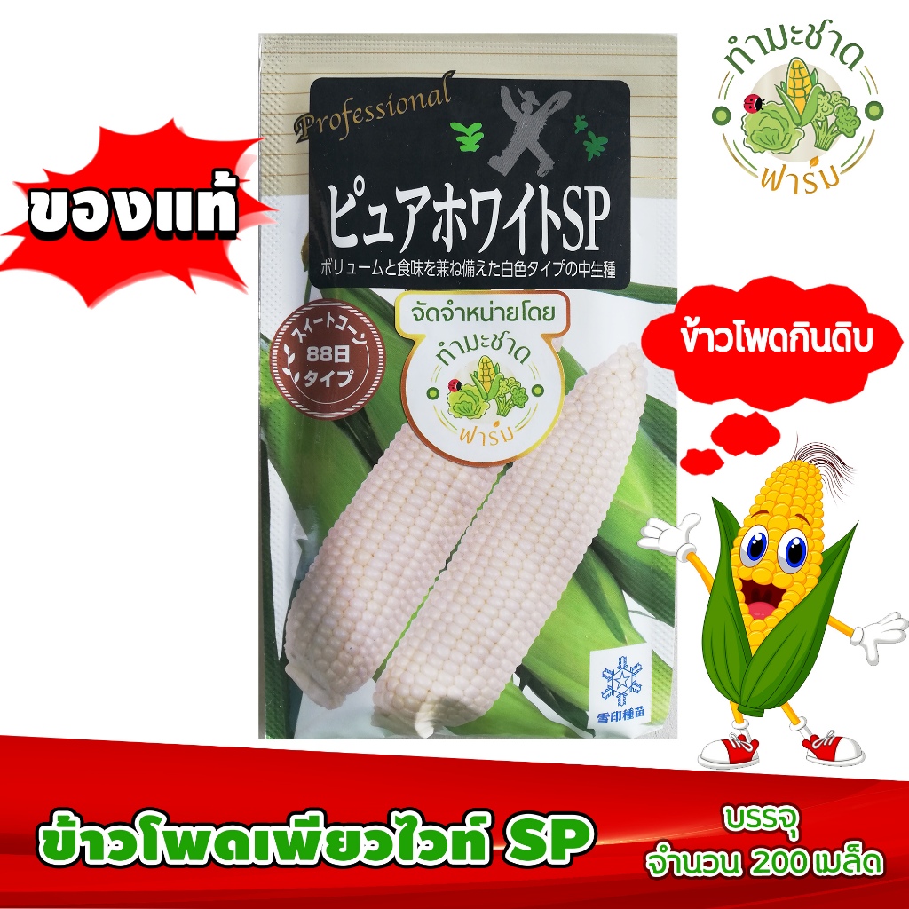 [ซองแท้ 200เมล็ด] เมล็ดพันธุ์ ข้าวโพด เพียวไวท์ Pure White Hokkaido Sweet Corn ข้าวโพดฮอกไกโด ข้าวโพดนมสด ข้าวโพดญี่ปุ่น