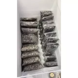 สะดิ้งไข่ ต้มสุกแช่แข็ง ไม่ปรุง สัตว์เลี้ยงกินได้