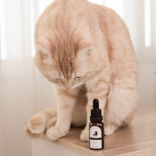 น้ำมันหอมระเหยสำหรับแมวและคน กลิ่น cat high โทนสมุนไพรชุ่มชื…