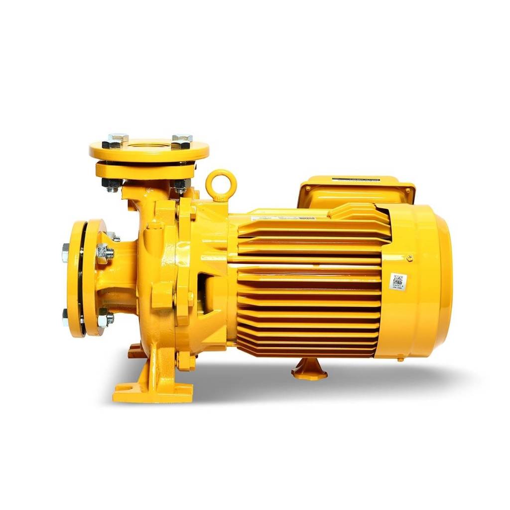 WCL-2205F-S ปั๊ม หน้าแปลนน้ำมาก 3HP / 1 เฟส