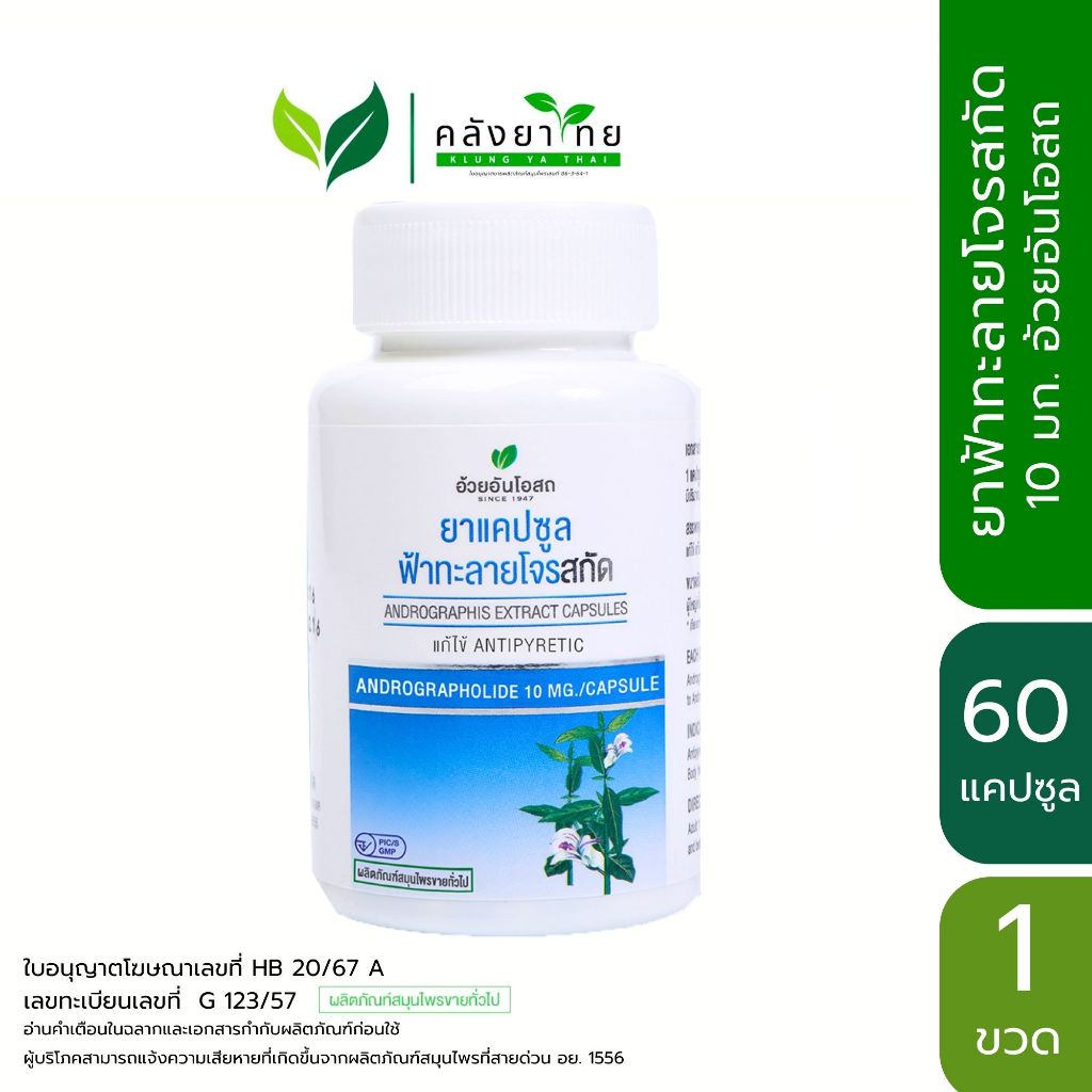 ยาแคปซูลฟ้าทะลายโจรสกัด (Andrographolide 10 มก.) อ้วยอันโอสถ / Herbal One