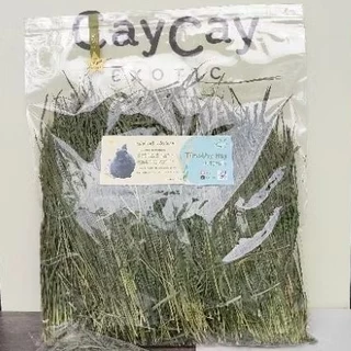 caycay ultimate timothy organic หญ้าทิโมธีอบลมร้อน พร้อมส่งคับ