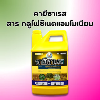 คายีซาเรส ขนาด 4 ลิตร แกลลอนเหลือง กลูโฟซิเนต-แอมโมเนียม 15% W/V SL ใช้กำจัดหญ้าใบแคบและใบกว้าง
