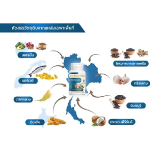 BENJA OIL SECURMIN PLUS เบญจออยล์ ซีเคอร์มิน พลัส ( 1 ขวด 30 แคปซูล )