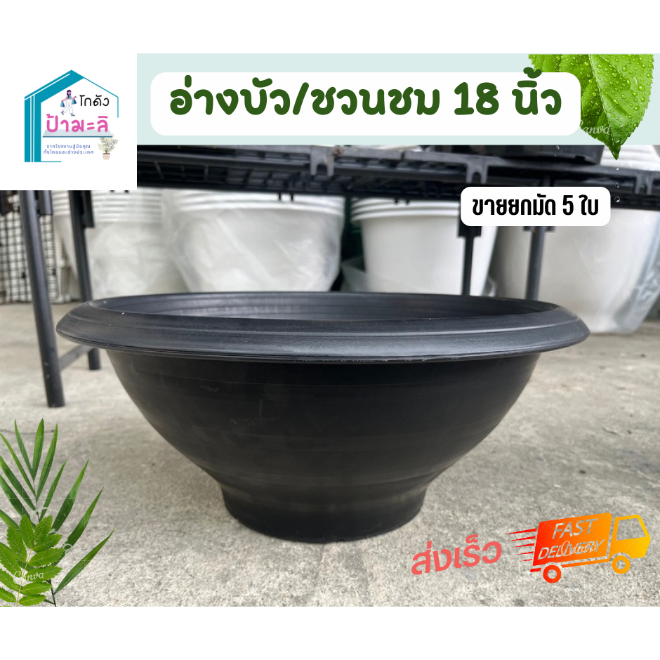 อ่างบัว 18 นิ้ว กระถางชวนชม สีดำ Set 5 ใบ เงา หนา สวย