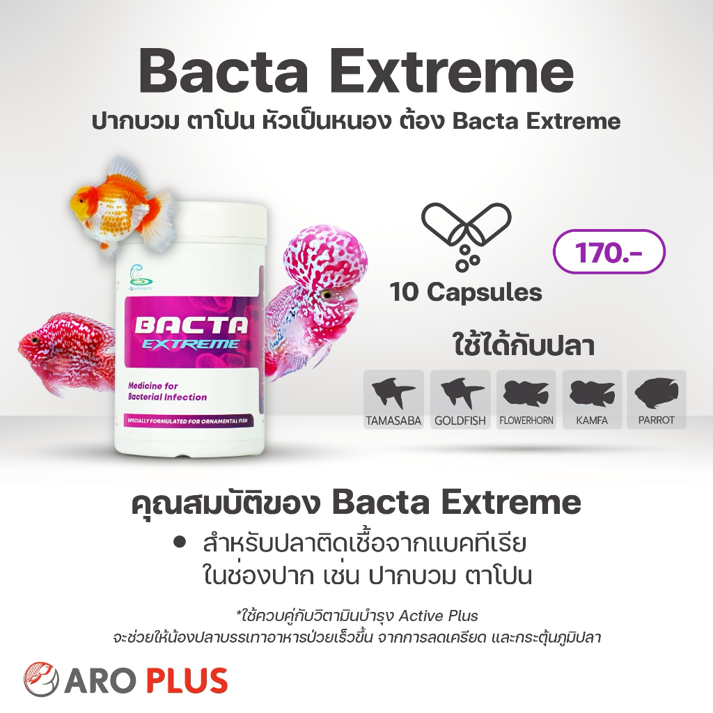 Bacta Extreme : สำหรับปลาเล็ก