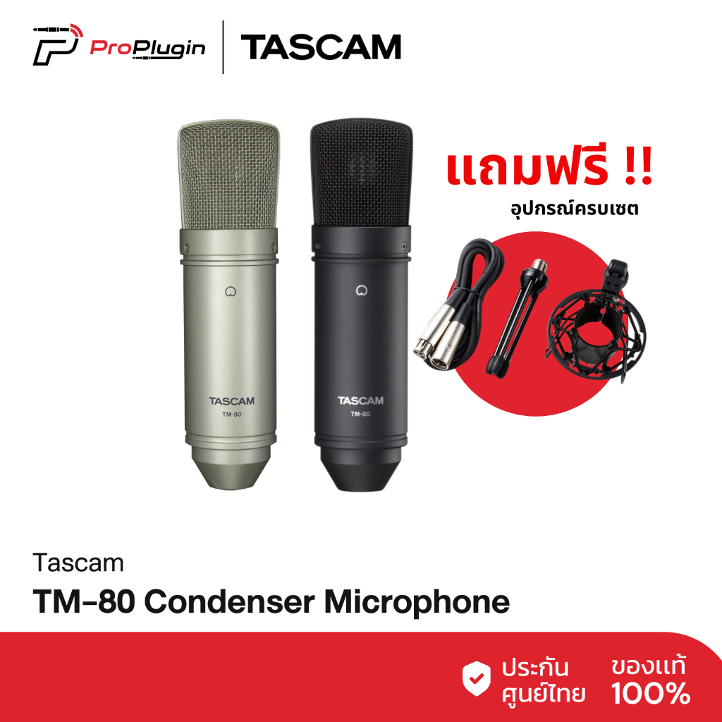 Tascam TM-80 Studio Condenser Microphone (ProPlugin)