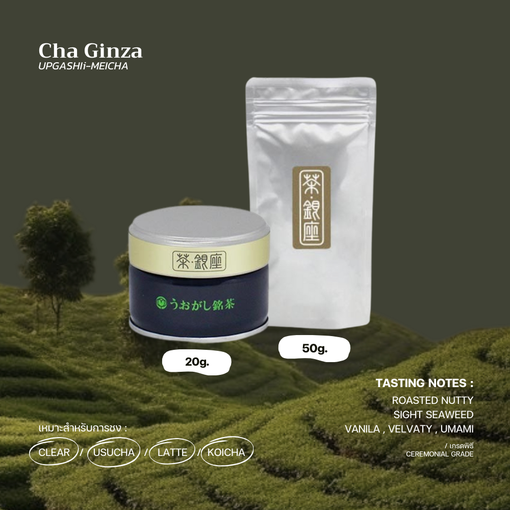 มัทฉะเกรดพิธี 🌊🥜"Cha Ginza" - UOGASHI MEICHA
