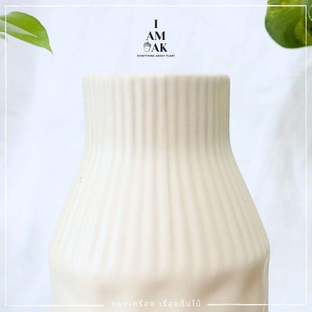 มุมมอง 3