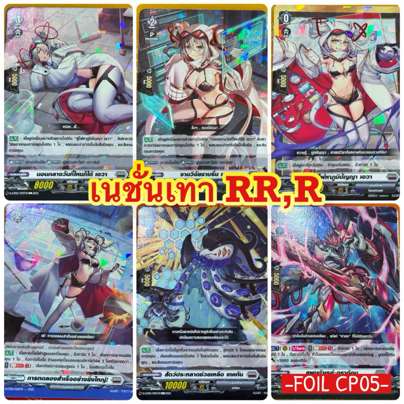 DCP05 แยกใบ R,RR เนชั่น เทา
