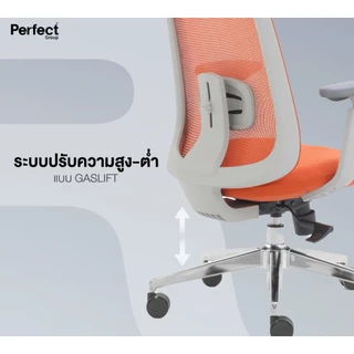 Perfect เก้าอี้ทำงาน รุ่น VARIETY เก้าอี้ทำงานเพื่อสุขภาพ Ergonomic Chair เก้าอี้เพื่อสุขภาพ เก้าอี้คอม เก้าอี้