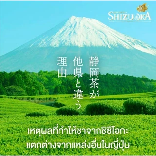 ICHITAN ชิซึโอกะ ชาเขียว สูตร No Sugar ไม่มีน้ำตาล กลิ่นมะลิ ขนาด 440 ml. 1 ลัง (24 ขวด) รวมจัดส่ง