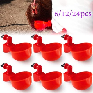 6/12/24 ชิ้น ชามดื่มน้ำไก่อัตโนมัติ ถ้วยดื่มน้ำไก่ ถ้วยดื่มน…