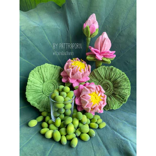เม็ดบัวสด เม็ดบัวแกะแล้ว เก็บจากบ่อธรรมชาติ ปลอดสารเคมี