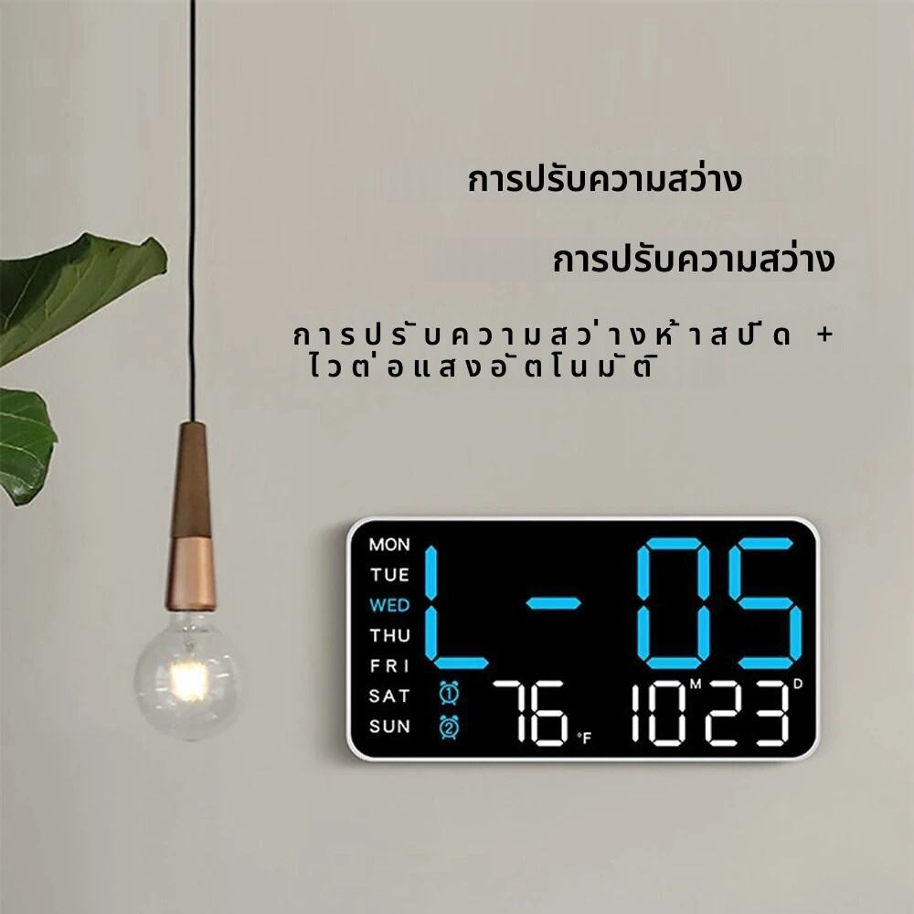 Thumbnail 8