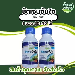 ชัดเจนจับใจ สารจับใบคุมไข่คุณภาพสูง ขนาด500 ml 30-40ไร่