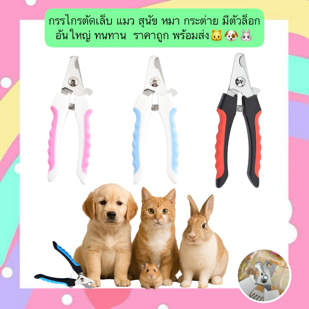 BN-664 กรรไกรตัดเล็บสัตว์เลี้ยง ด้ามใหญ่ มีตัวล็อก แมว หมา กระต่าย ใช้งานง่าย ปลอดภัย ราคาน่ารัก พร้อมส่ง🐾🐶🐱🐰