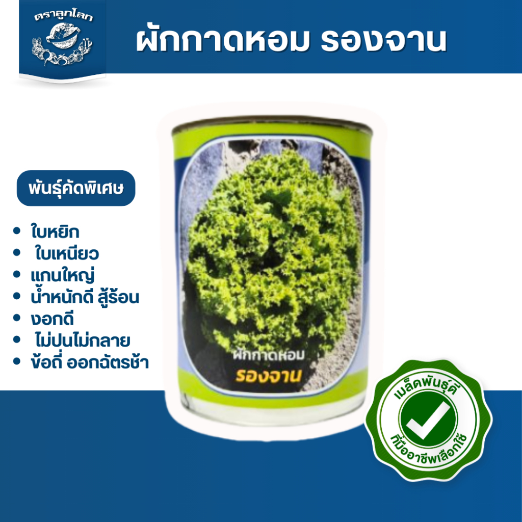 ตราลูกโลก เมล็ดผักกาดหอม รองจาน Lettuce เมล็ดพันธุ์ผัก ผักสวนครัว ผักซอง