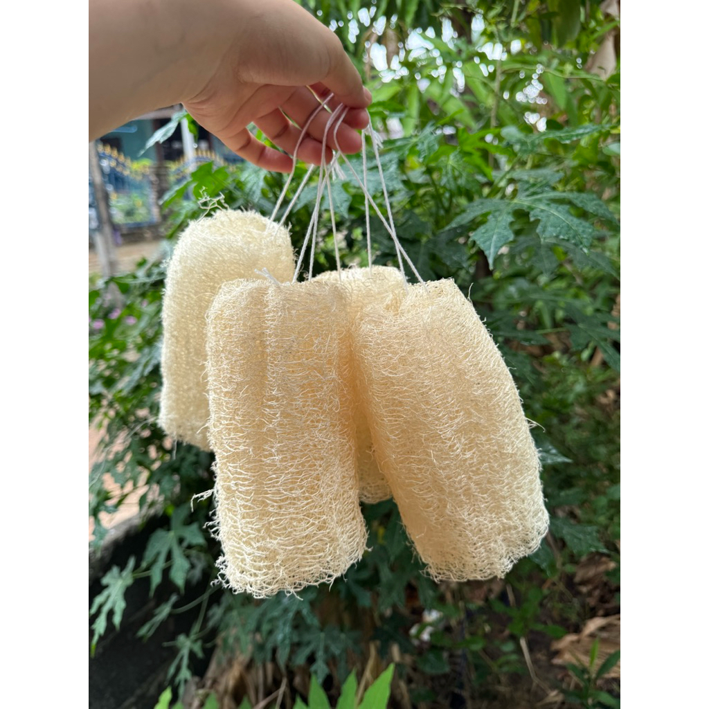 ใยบวบร้อยเชือกชุด 5ชิ้น ขนาด 6-8 นิ้ว ใยบวบขัดผิว ใช้สะดวกสบาย ใยบวบทำจากธรรมชาติ สำหรับการใช้งานที่ง่ายและสะดวก - รูปที่ 2