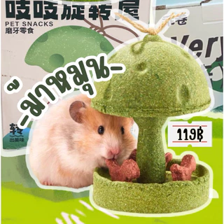 Chintrovert ✨| Dental Toy ลับฟันยักษ์ ตกแต่ง&ป้องกันโรคฟันยาว บำรุงฟันในสัตว์ฟันแทะ | สำหรับสัตว์ฟันแทะทุกชนิด
