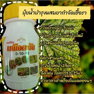 สมุนไพรกำจัดแมลง ออร์คิดโกลด์เด้นสีส้ม ไล่แมลง กำจัดศัตรูพืชแบบปลอดภัยต่อคน สมุนไพรจากสะเดา ใบยาสูบ สาปเสือ