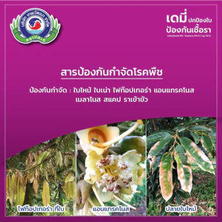 ขนาด 1 ลิตร เดมี่ เทพวัฒนา ไดเมโทมอร์ฟ+โพรคลอราช กำจัดเชื้อราไฟท๊อปเทอร่า ราน้ำค้าง แอนแทรคโนส เชื้อราเข้าขั้ว ใบเน่า ผล